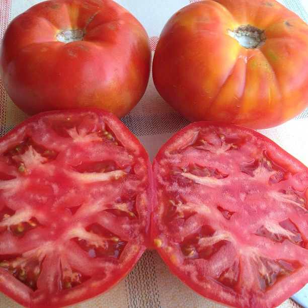 Tomato Muchamiel from Alicante seed